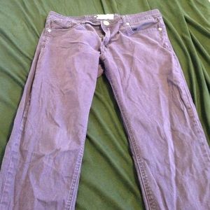 Dark purple pants