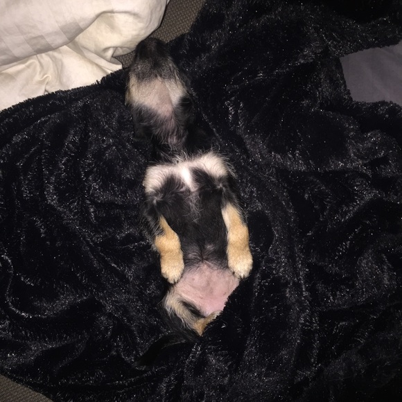 Bundle to Save! - Picture 3 of 3