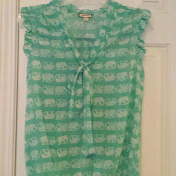 Blouse - New without tags. Never worn. Mint green