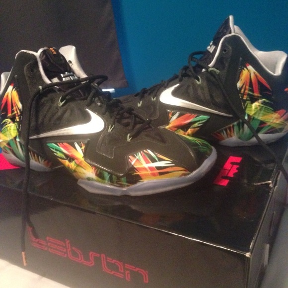 Lebron 11 Everglades men's size 12