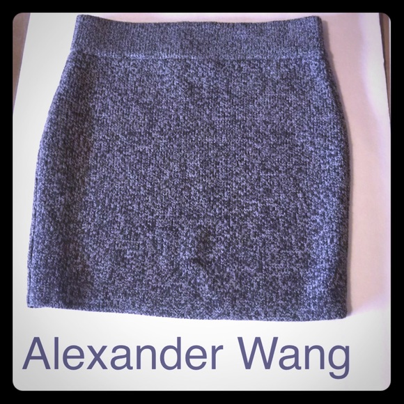 T by Alexander Wang Grey Skirt