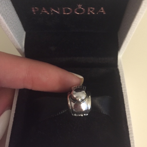 pandora charm!