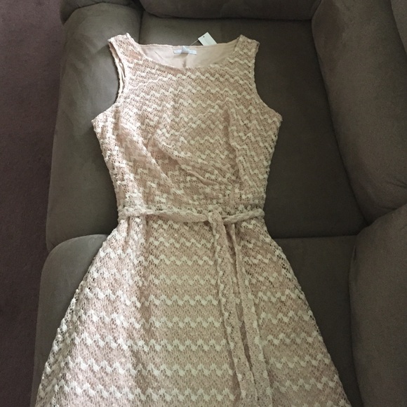 NY&C Knit Dress