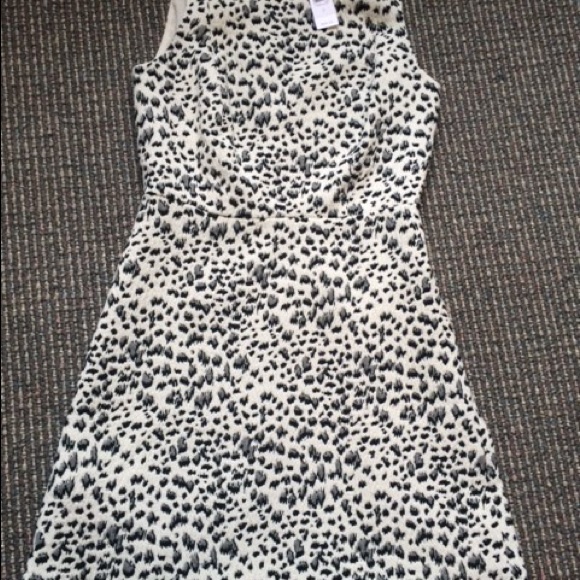 LOFT Dresses & Skirts - Ann Taylor LOFT Snow Leopard dress, size 2
