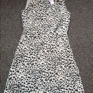 Ann Taylor LOFT Snow Leopard dress, size 2