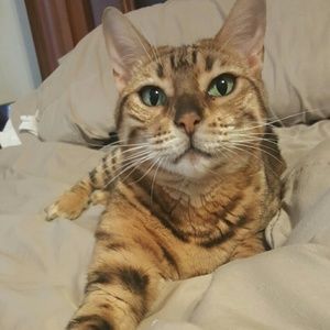 Please feel free to make an offer on anything!