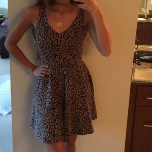 Leopard Print Skater Dress