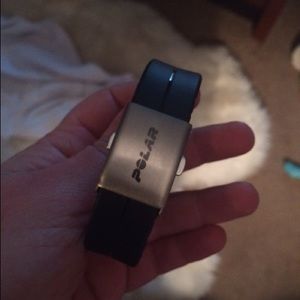 Polar Loop activity band