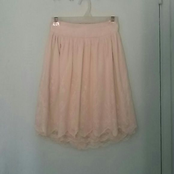 Embroidered skater skirt