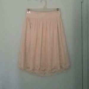 Embroidered skater skirt