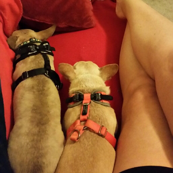 About your seller! That's me! - Picture 2 of 4