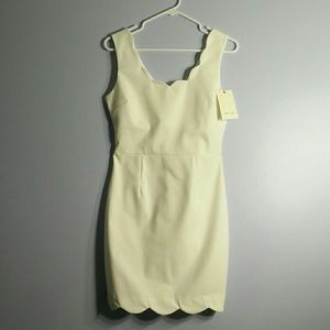 Necessary clothing Sis.Sis White scalloped dress