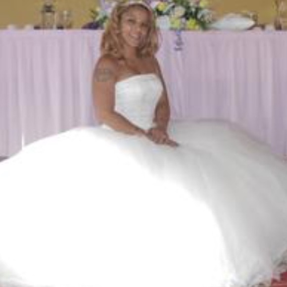 Michaelangelo wedding dress