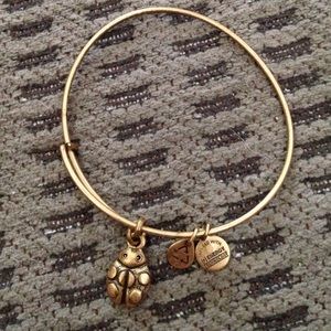 Alex and Ani Ladybug Bracelet
