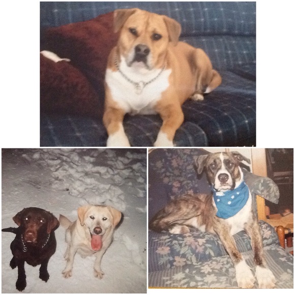 MEET THE SELLERπBUYER - Picture 3 of 4