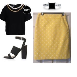 Ann Taylor Pencil Skirt