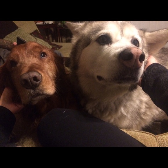 Meet Your Posher 🌻 - Picture 3 of 4