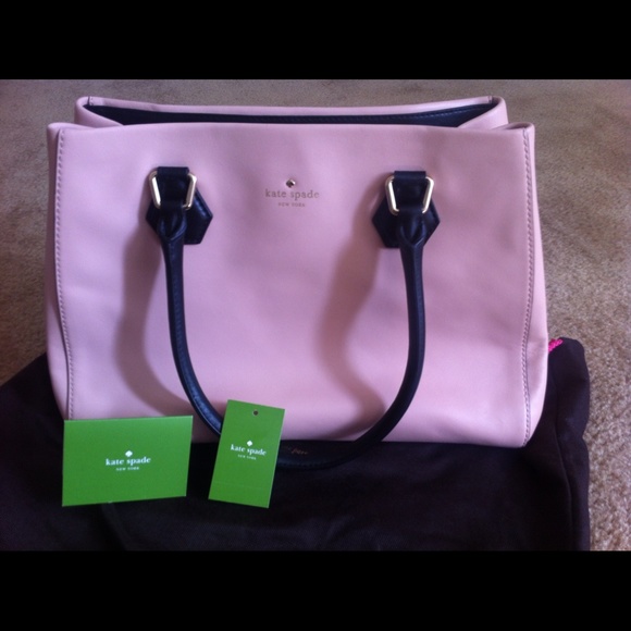 NWT Catherine street Louise pink champagne bag