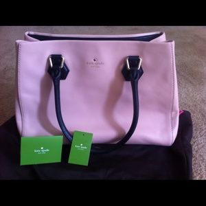 NWT Catherine street Louise pink champagne bag