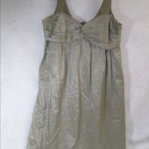 Metallic bailey 44 dress.