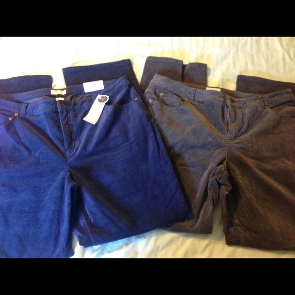 macy's charter club corduroy pants