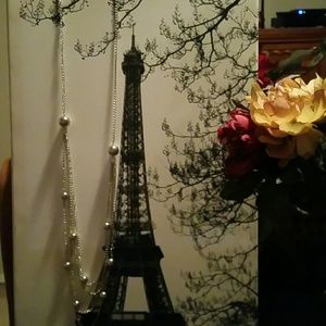 SOLD Gorgeous Silvertone necklace