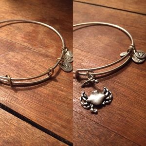 ALEX & ANI fillers