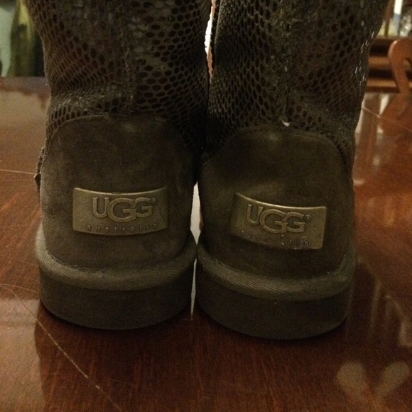 UGG Shoes Authentic Brown Snakeskin Uggs Poshmark