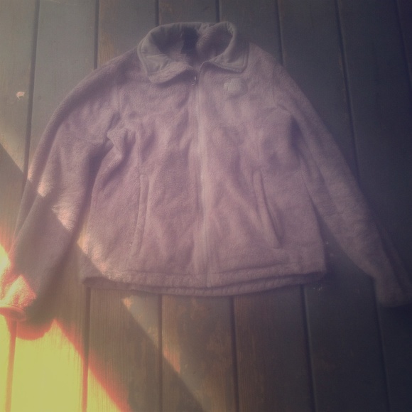 Gray north face