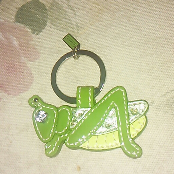 Coach Grasshopper very hard to find
