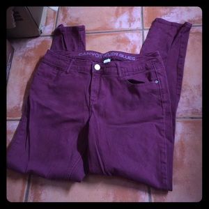 Burgundy pants