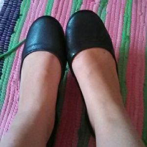 Black Flats