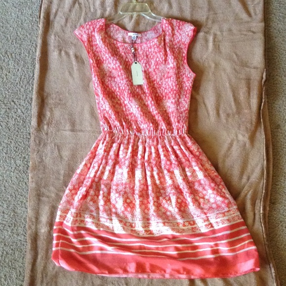 NWT Sophie Max dress