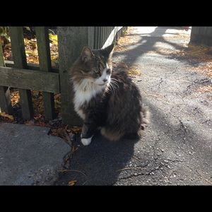 RESERVED - Eyelashes Shell Slip Dress - M