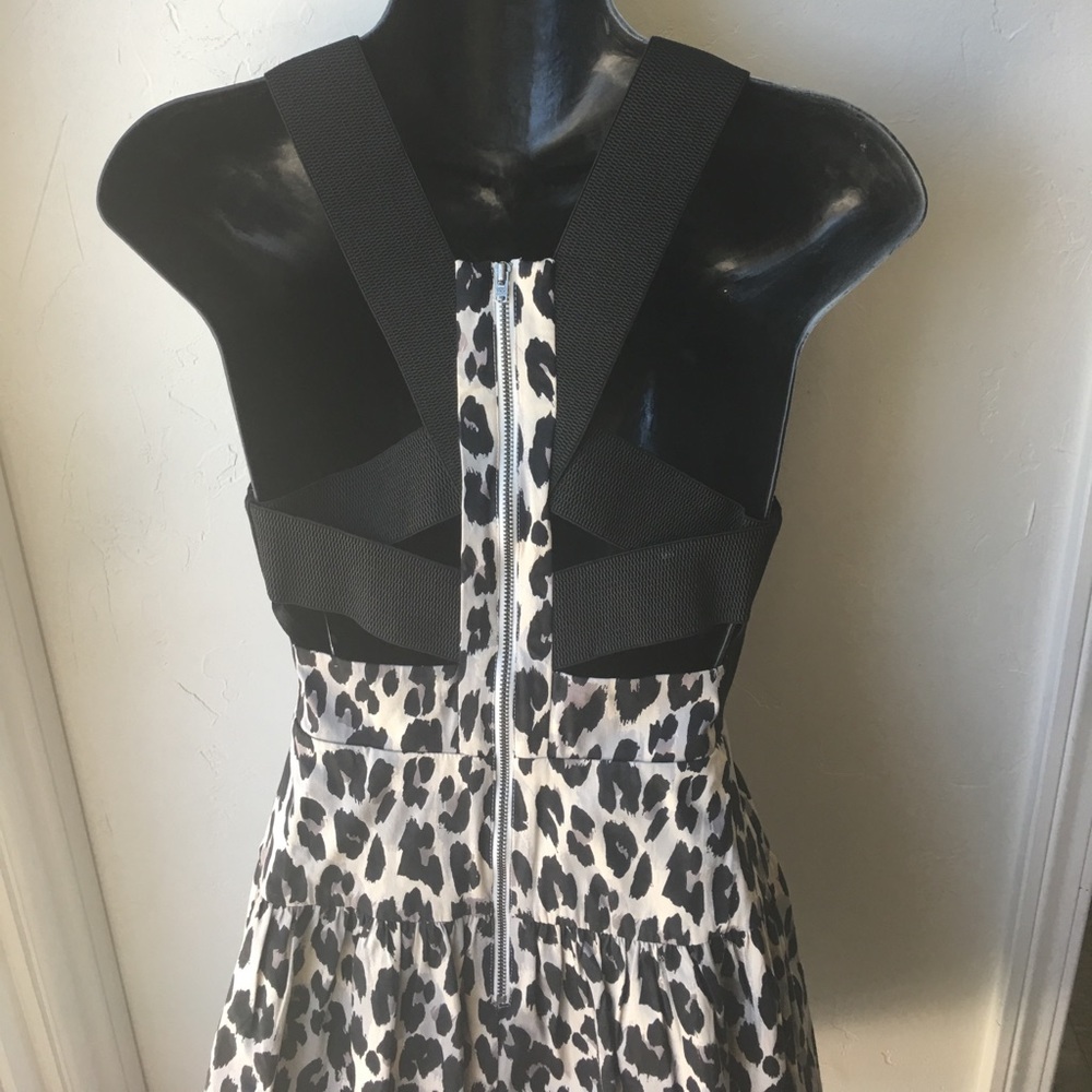 French Connection from NORDSTROM Leopard Dress - Picture 8 of 8