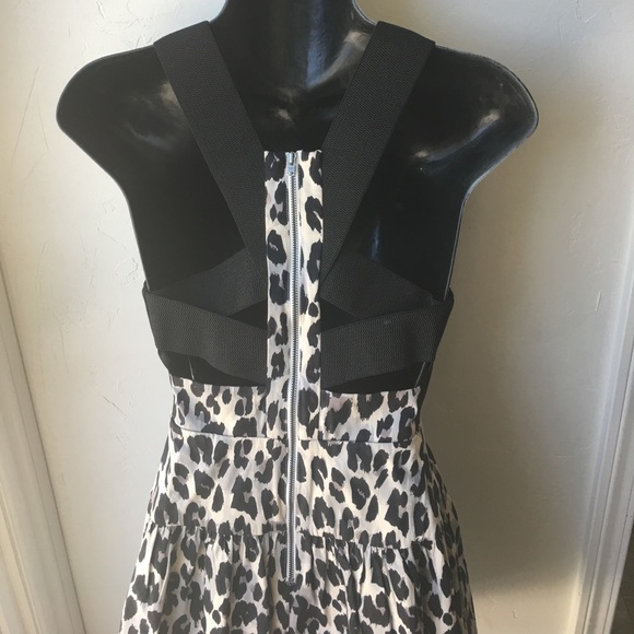 French Connection from NORDSTROM Leopard Dress - Picture 8 of 8