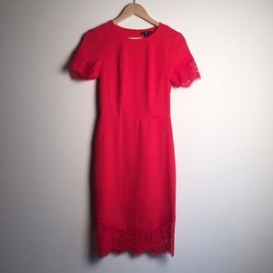 NWT H&M red lace bodycon dress