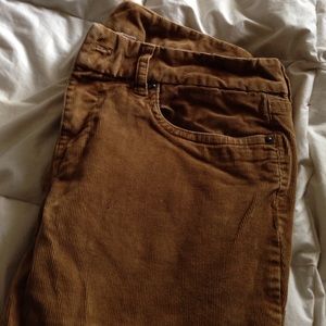 Khaki cords