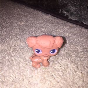 Lps littlest pet shop old dog !