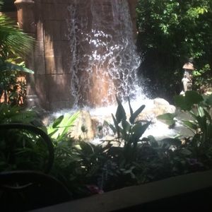 brandy melville gray top