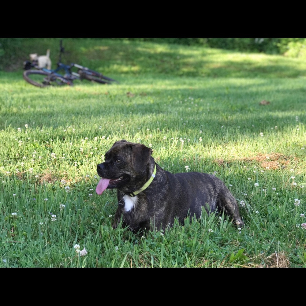 MEET ME 😊 - Picture 6 of 6