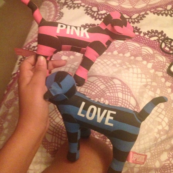 Dogs for Paige