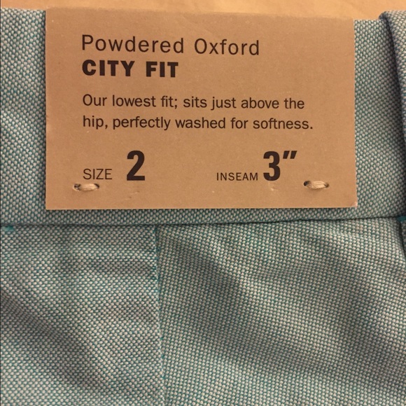 JCrew powder blue shorts