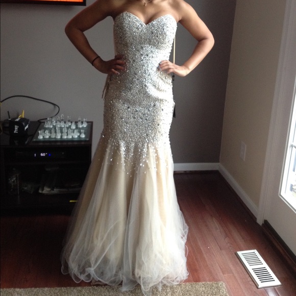 Terani Couture Dresses & Skirts - Beautiful long prom dress