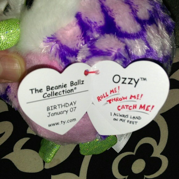 TY Beanie Ballz Collectable "Ozzy" the owl NWT - Picture 2 of 4
