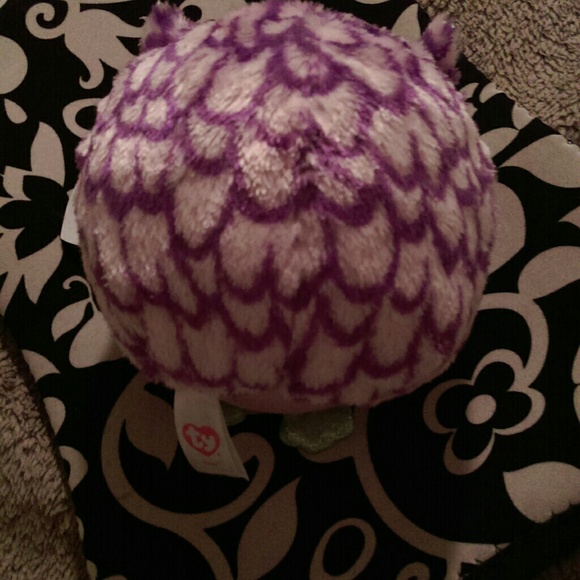 TY Beanie Ballz Collectable "Ozzy" the owl NWT - Picture 4 of 4
