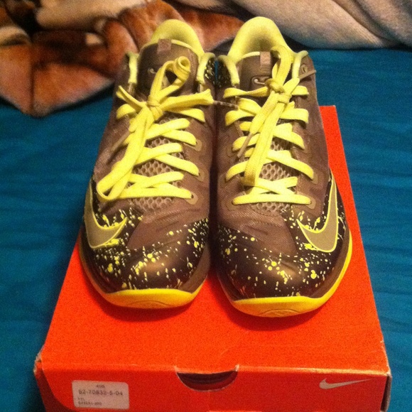 Lebron 11 low dunkman