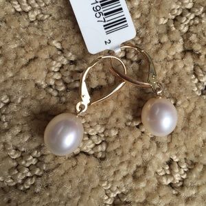 NWT Earrings