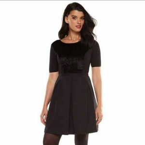 Black Box Flare Dress