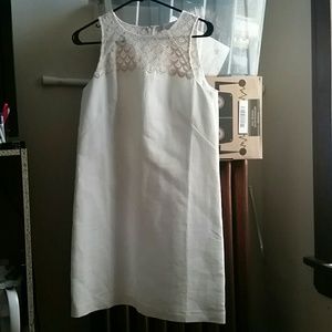 8P Dress from LOFT